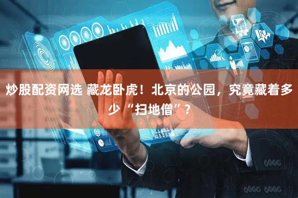 炒股配资网选 藏龙卧虎！北京的公园，究竟藏着多少 “扫地僧”？