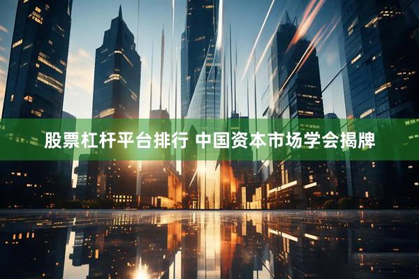 股票杠杆平台排行 中国资本市场学会揭牌