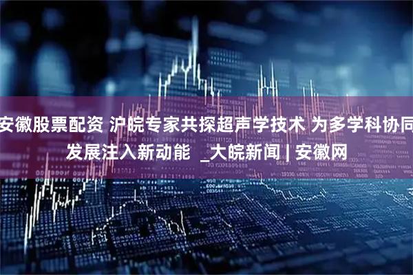安徽股票配资 沪皖专家共探超声学技术 为多学科协同发展注入新动能  _大皖新闻 | 安徽网