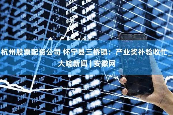 杭州股票配资公司 怀宁县三桥镇：产业奖补验收忙_大皖新闻 | 安徽网