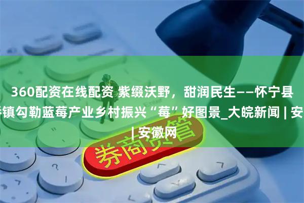 360配资在线配资 紫缀沃野，甜润民生——怀宁县三桥镇勾勒蓝莓产业乡村振兴“莓”好图景_大皖新闻 | 安徽网