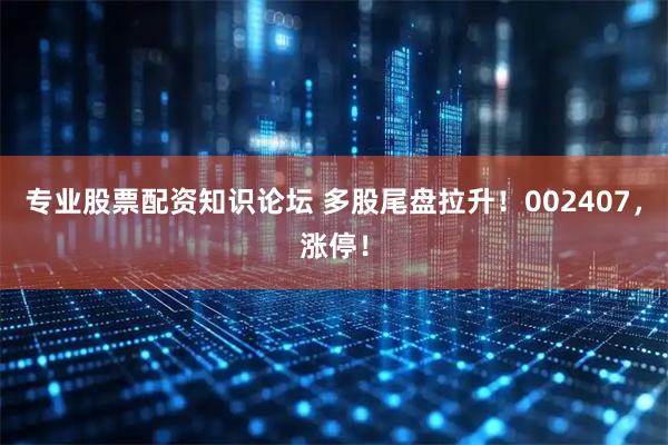 专业股票配资知识论坛 多股尾盘拉升！002407，涨停！