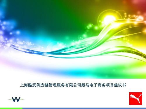上海酷武供应链管理服务有限公司彪马电子商务项目建议书